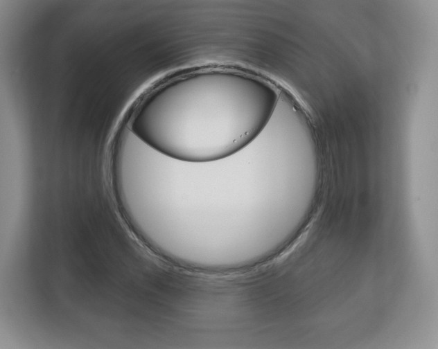 X0000113181118200909040948