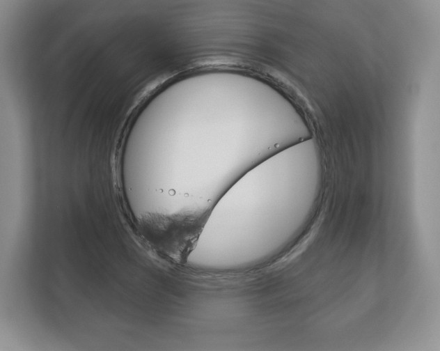 X0000113181121200909040948