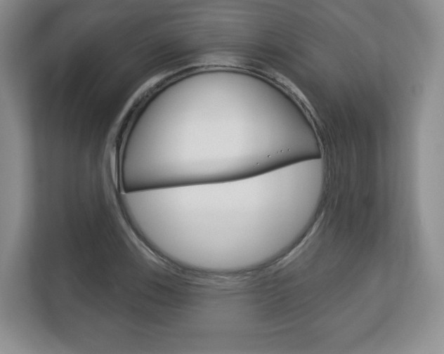 X0000113181123200909040948