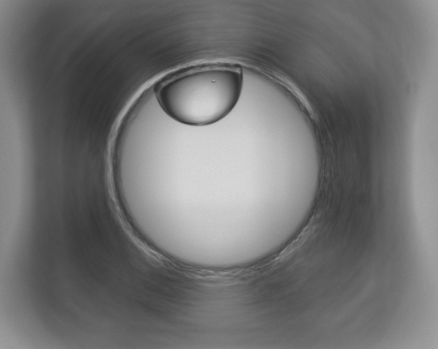 X0000113181124200909040948