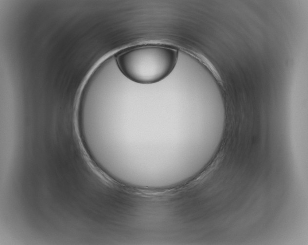 X0000113181132200909040948