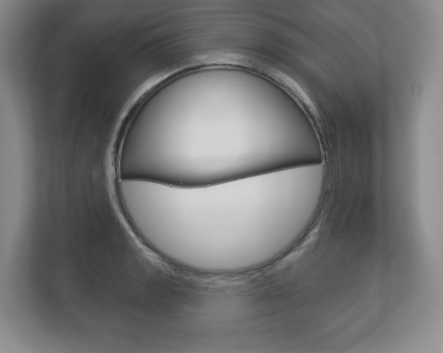 X0000113181133200909040948