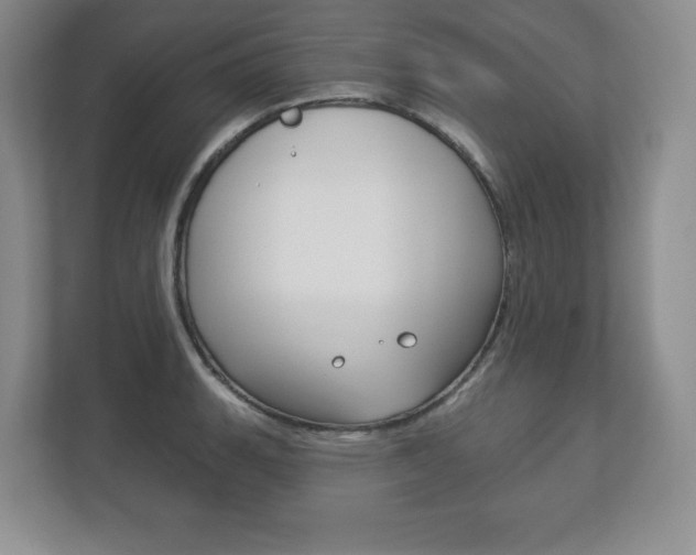X0000113181135200909040949