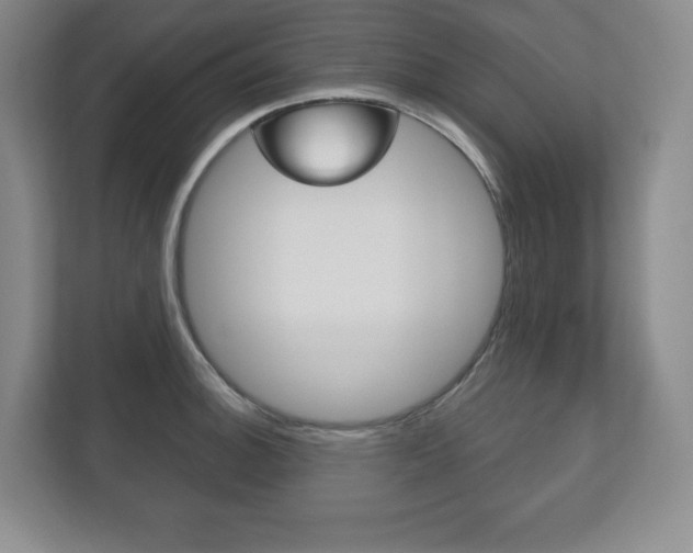 X0000113181140200909040949