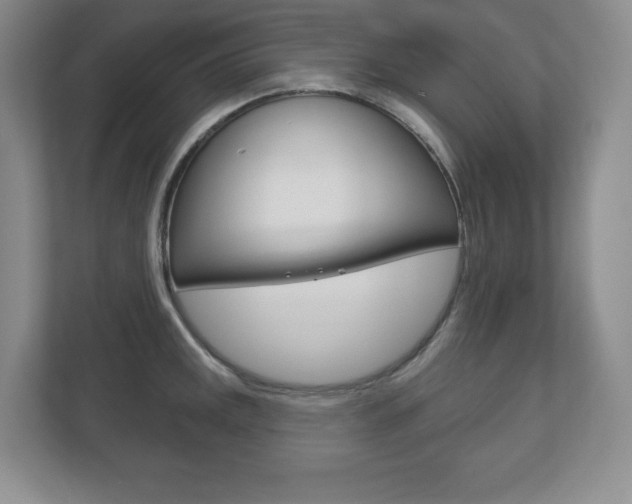 X0000113181141200909040949