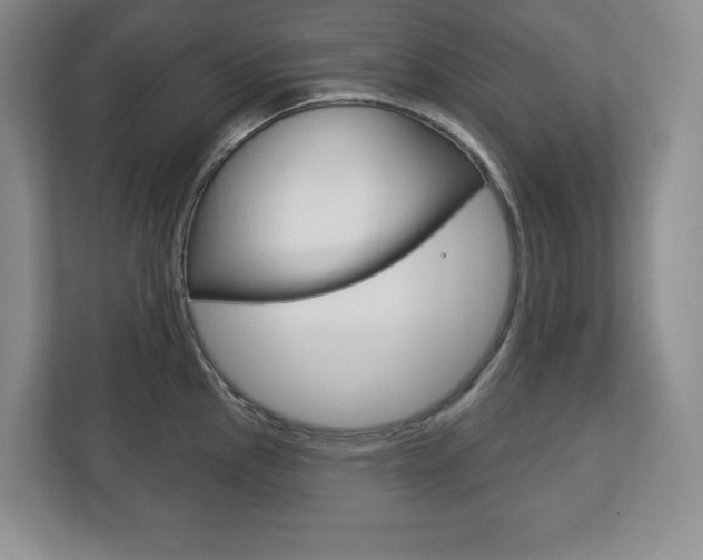 X0000113181145200909040949