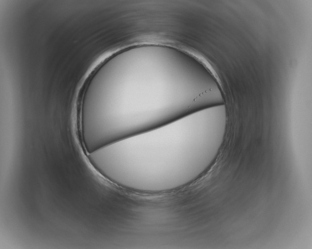 X0000113181147200909040949