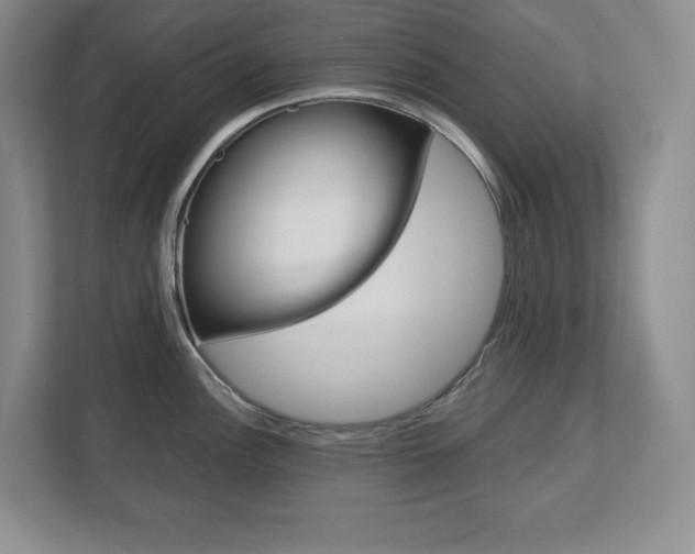 X0000113181148200909040949