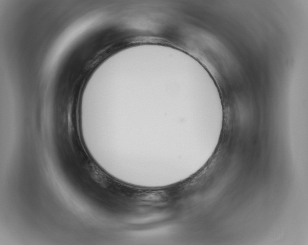 X0000113181150200909040949