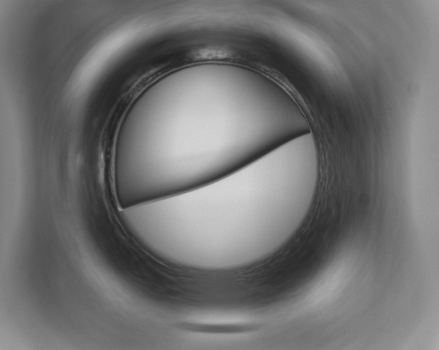 X0000113181151200909040949