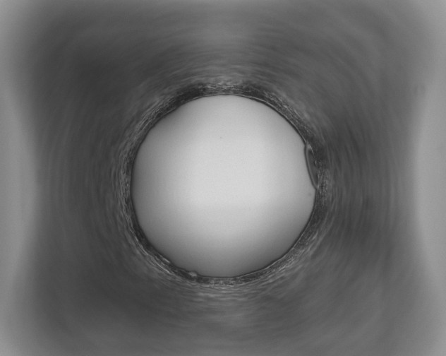 X0000113181153200909040948