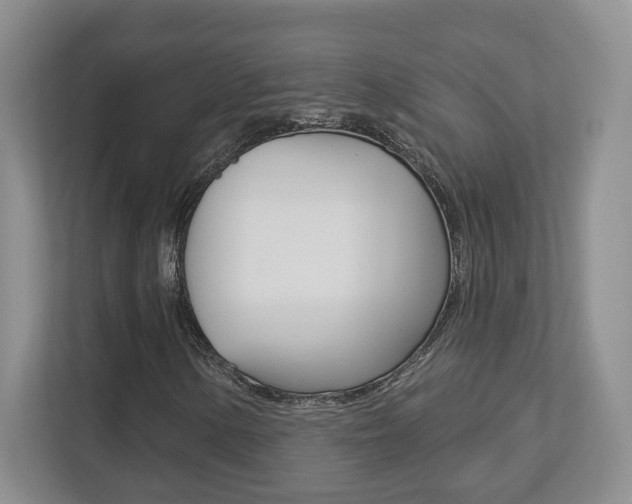 X0000113181154200909040948