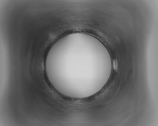 X0000113181155200909040948