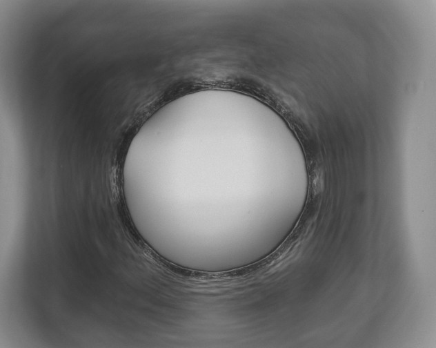 X0000113181156200909040948