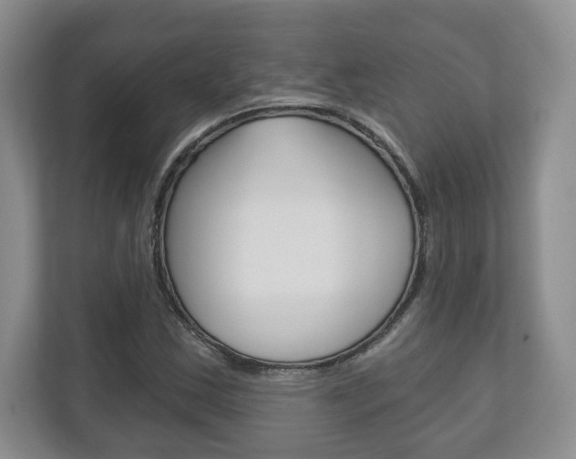 X0000113181163200909040948