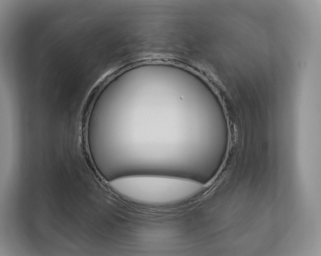 X0000113181165200909040948