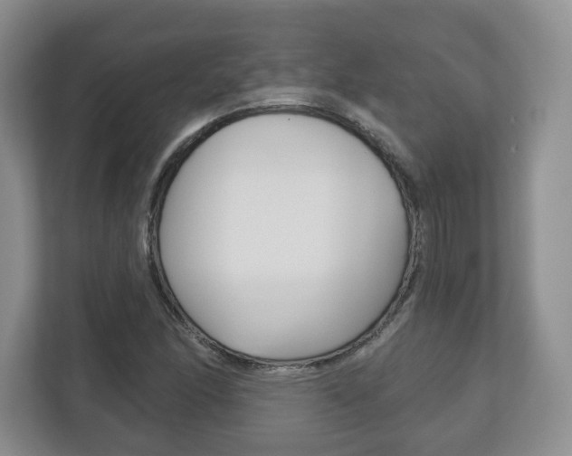 X0000113181166200909040948