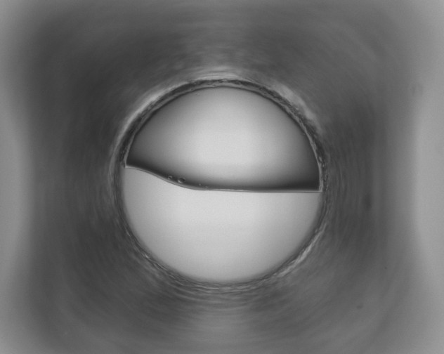 X0000113181167200909040948