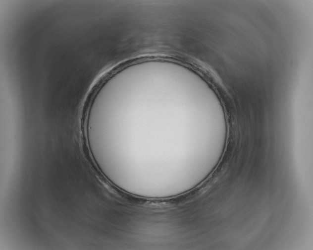X0000113181168200909040948