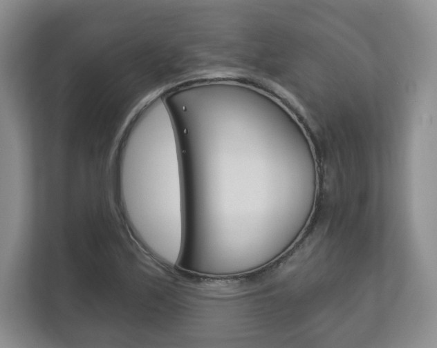 X0000113181171200909040948