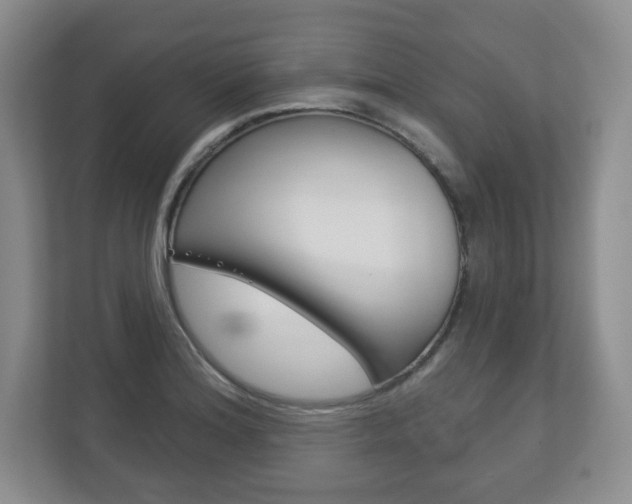 X0000113181180200909040948