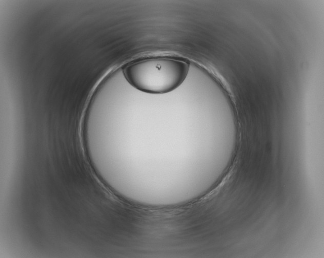 X0000113181181200909040948