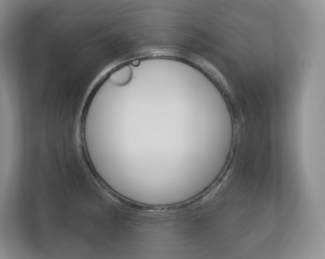 X0000113181182200909040948