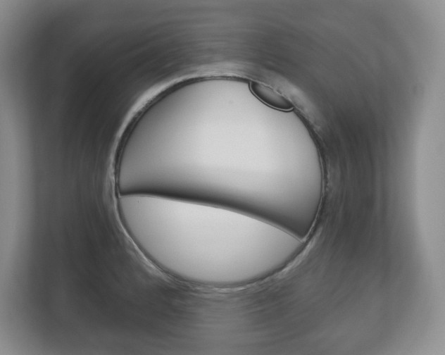 X0000113181184200909040948