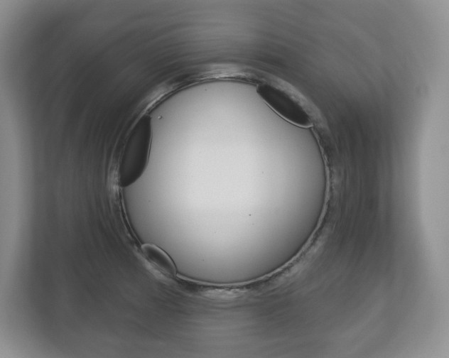 X0000113181185200909040948