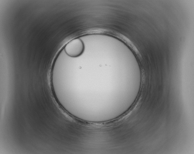 X0000113181186200909040948
