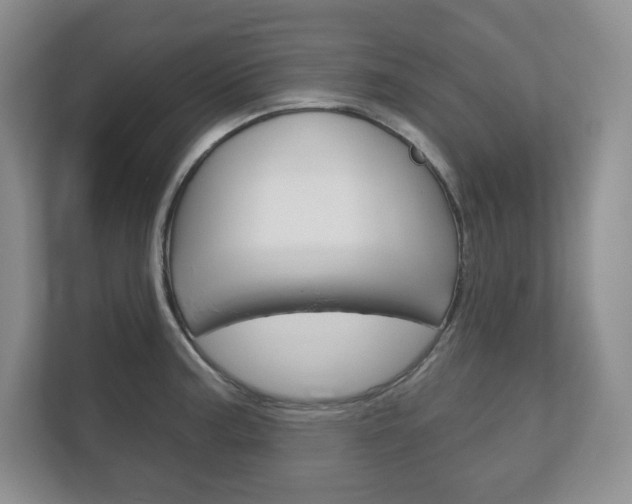 X0000113181187200909040948