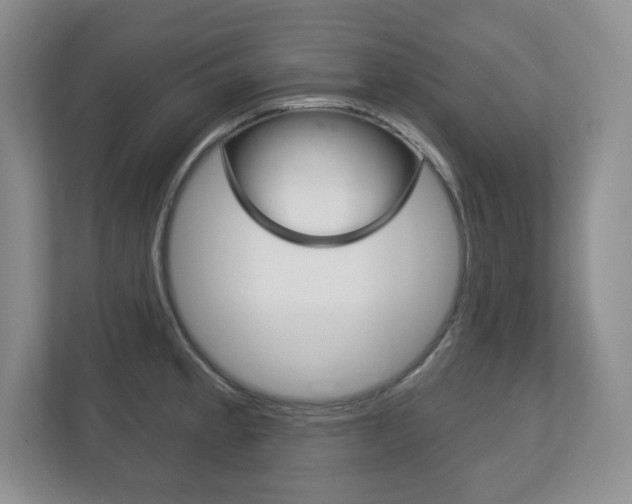 X0000113181189200909040948