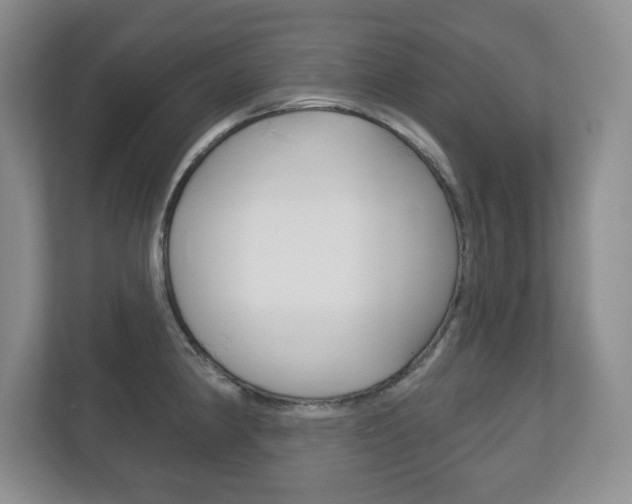 X0000113181190200909040948