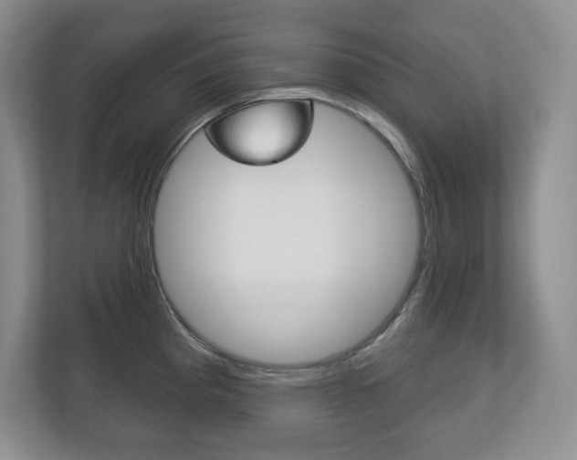 X0000113181193200909040948
