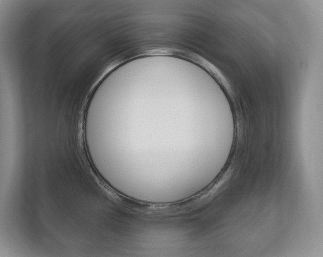 X0000113181194200909040948