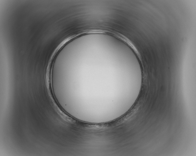 X0000113181195200909040948