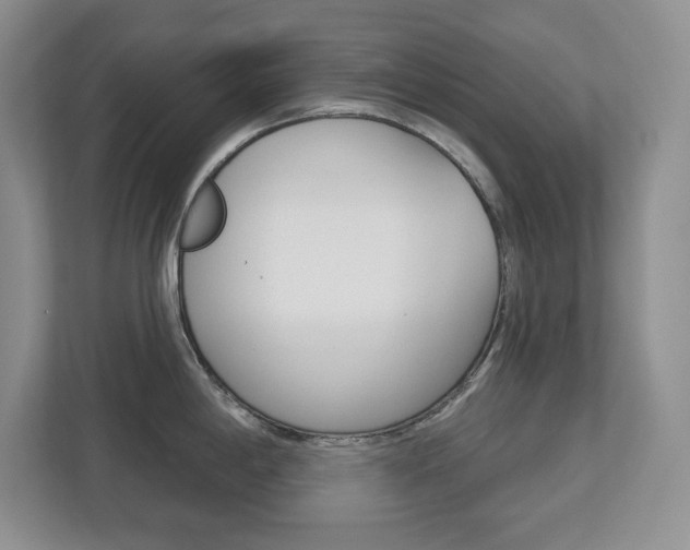 X0000113181198200909040948