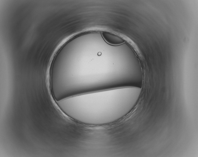 X0000113181199200909040948