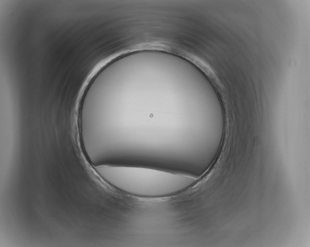X0000113181200200909040948