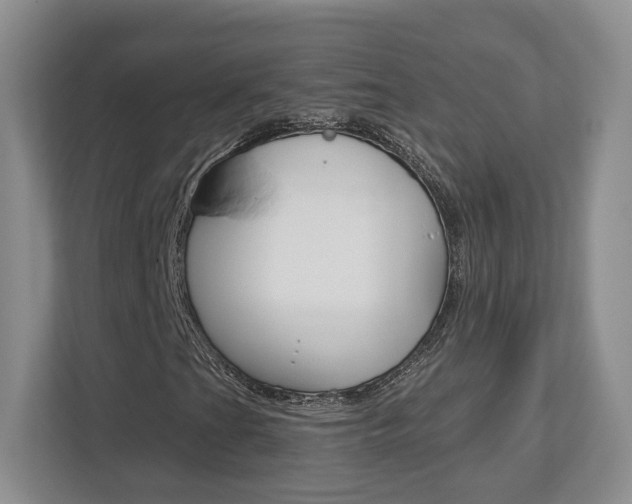 X0000113181201200909040947