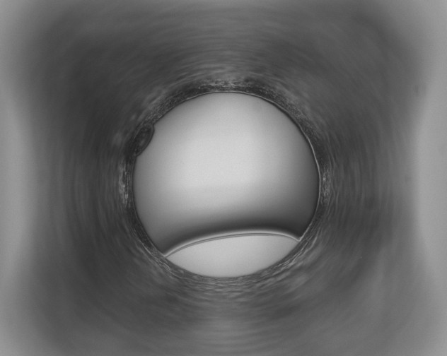 X0000113181202200909040947