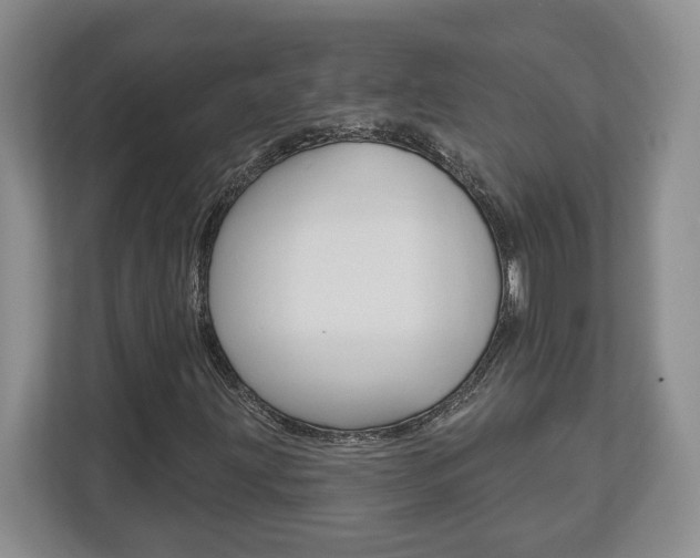 X0000113181203200909040947