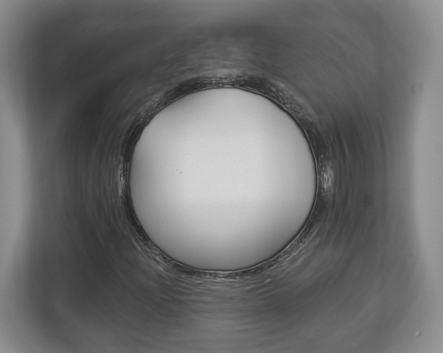 X0000113181204200909040947