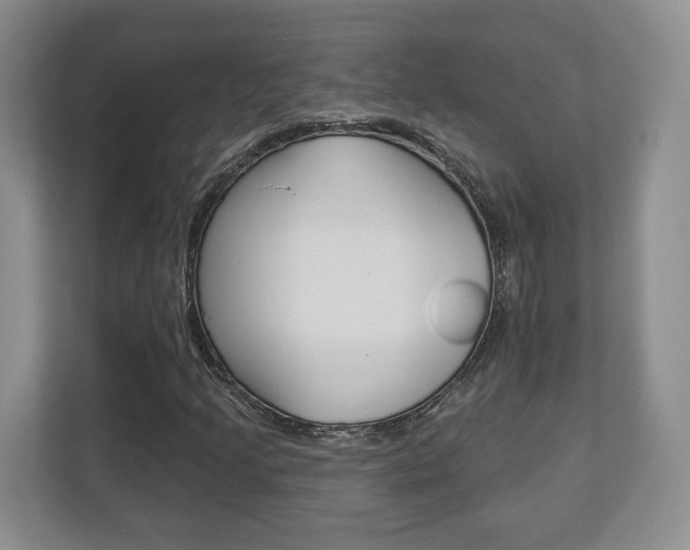 X0000113181205200909040947