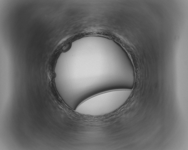 X0000113181206200909040947