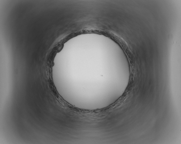X0000113181207200909040947
