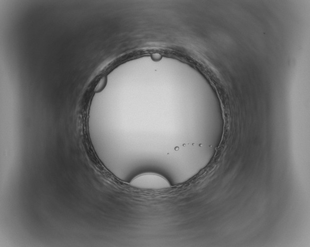 X0000113181208200909040947