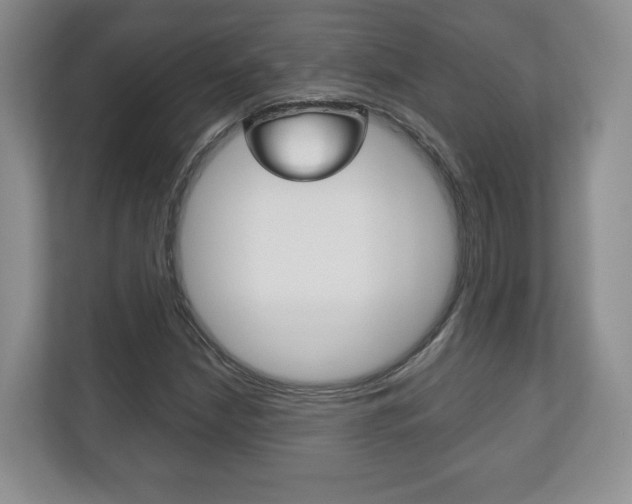 X0000113181210200909040947