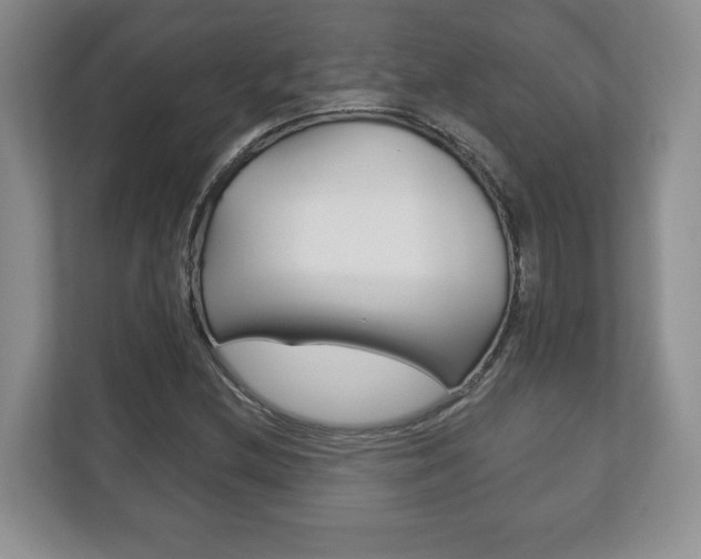 X0000113181212200909040947