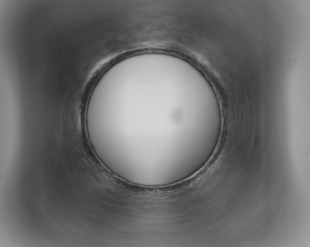X0000113181214200909040947
